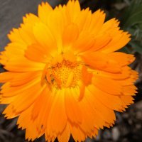 DesertRose30 (@emmagreen792) 's Twitter Profile
