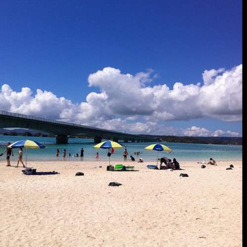 maaasan3's profile picture. 