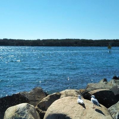 hayatonbo_'s profile picture. 大学生 | サカナクション | 謎解き