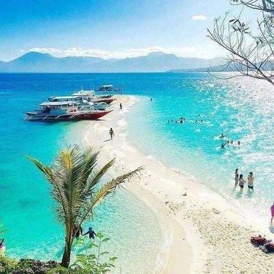 Honey_Guide_K's profile picture. 여행/맛탐/쇼핑/코인/돌싱/일탈