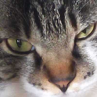 ッ素さんのプロフィール画像
