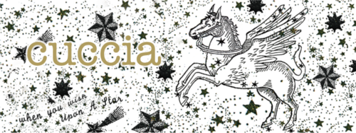 cucciastore's profile picture. アパレルショップcucciaのTwittre
