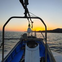 なかいで丸@nakaidemaru (@rhugs1vbpkqlqxf) 's Twitter Profile Photo