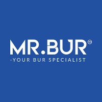 Mr Bur(@mrbur_) 's Twitter Profile Photo