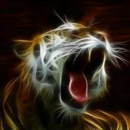 TigerSolutions's profile picture. 