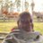CherylF56685450's profile image