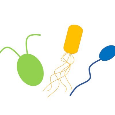 Mathematical biologist in systems biology and fluid dynamics, and all-around fan of dynamical systems.
Postdoctoral Researcher at Imperial College London.