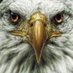 Pradeep Nesan (@nesanpradeep) Twitter profile photo Pradeep Nesan (@nesanpradeep) Twitter profile photo