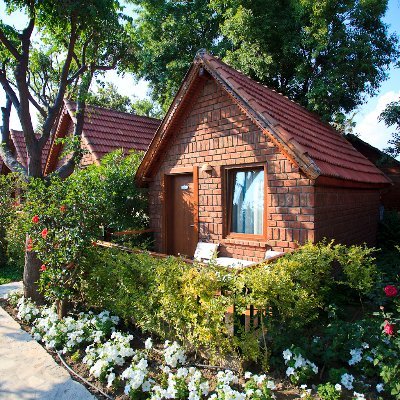 beachcangarden1's profile picture. 