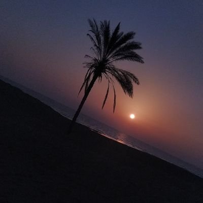 houtmohsen's profile picture. Either we will write history, or we will remain history.
#btc