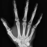 Plastic Surgery Nurses Ambulatory Trauma (@traumaplastics) 's Twitter Profile Photo Plastic Surgery Nurses Ambulatory Trauma (@traumaplastics) 's Twitter Profile Photo