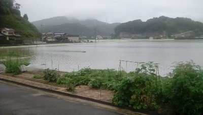 song2002's profile picture. 