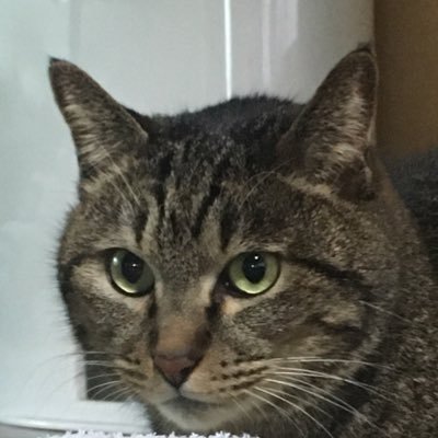 sakusaku_243's profile picture. TU 2C 望星