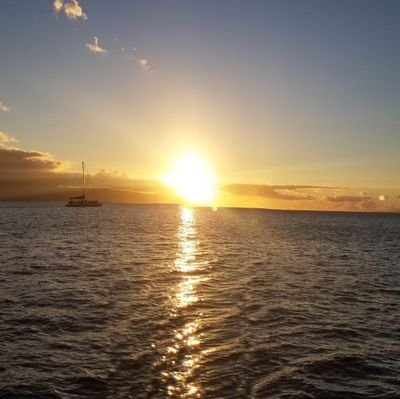 blonde_burbs's profile picture. 