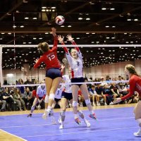 Taylor Bedinghaus (@tbedinghaus2024) 's Twitter Profile