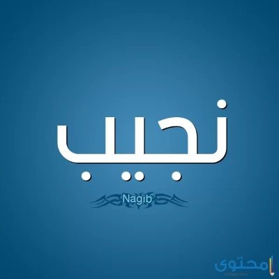 نجيب موقع اخباري حيادي تثقيفي ترفيهي يمدكم بالأخبار المفيدة والجديدة والطريفة عربيا وعالميا فى مجالات السياسة والصحة والجمال والتقنية والسياحة