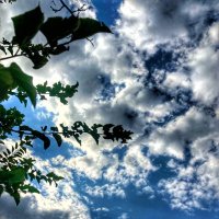 zehra özalp (@ozalp56dln) 's Twitter Profile