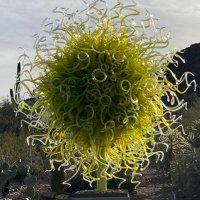 Terri Provost (@tprovost63) 's Twitter Profile