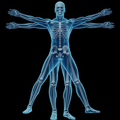 The Collaborative Specialization in Musculoskeletal Health Research - a transdisciplinary research training program