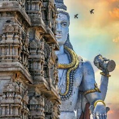 Harshil38022722's profile picture. 