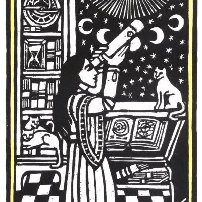 lapama's profile picture. 