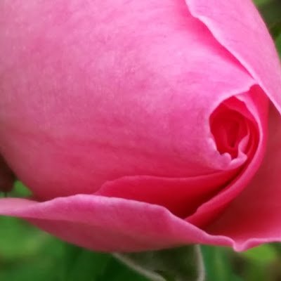 RahmanHoseiny's profile picture. Rahman51