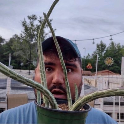 Growing gardener in Zone 8a 🌅 🌱🌶🍅🌷 mattgreenfinger@gmail.com