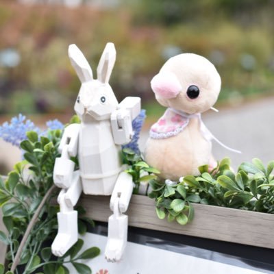dreamy☆さんのプロフィール画像