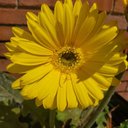 Stacy Grier - @StacyGrier68 - Twitter