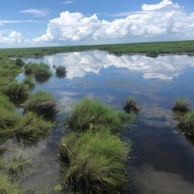 Lab of Dr. Ken Dunton @UTMSI & @ArcticLagoons | Seagrasses, marshes, mangroves, inverts | Tweets are from lab members