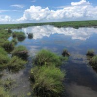 Dunton Coastal Ecology Lab(@dunton_lab) 's Twitter Profile Photo Dunton Coastal Ecology Lab(@dunton_lab) 's Twitter Profile Photo
