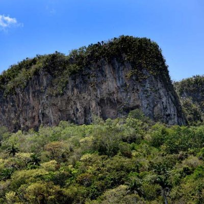 mary11574213's profile picture. 