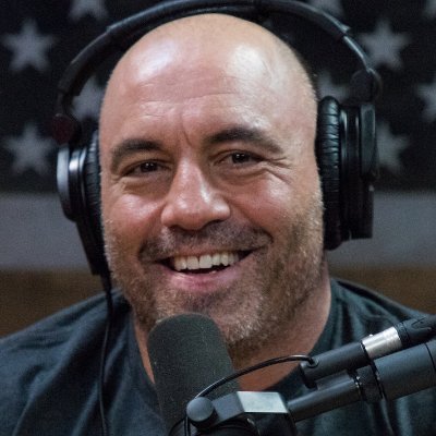 Motivational Quotes from the Joe Rogan Experience | Motivation | Podcast | MMA |

“The universe rewards hustle.”