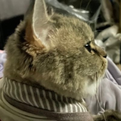 ploysppp's profile picture. MONEY IS MY HAPPINESS |