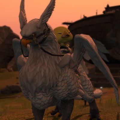 FF14専用アカウントです! MANADCのタイタン鯖にて復帰勢にて遊んでます! 久しぶりの復帰なのでわからずじまい。笑 一緒に遊んでくれるかたいたらお願いしまーす!フォロー等は、ご自由にどうぞー!してくれたら返しまーす