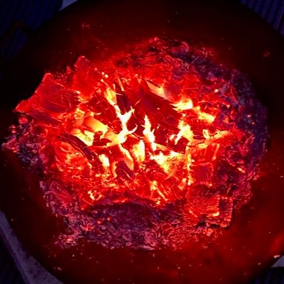 GCNOCAED's profile picture. 