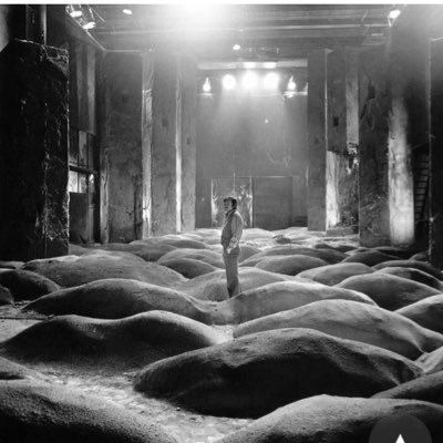 wo70882342's profile picture. An ADD dad.