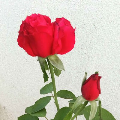 BabulKanala's profile picture. Personal loans