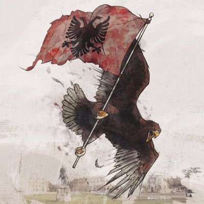 albaniowetrust's profile picture. In albanio we trust