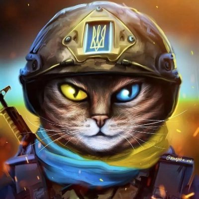 Zhekazh's profile picture. 