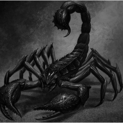 TheShadowScorp's profile picture. 