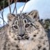 K (@k_the_snep) Twitter profile photo
