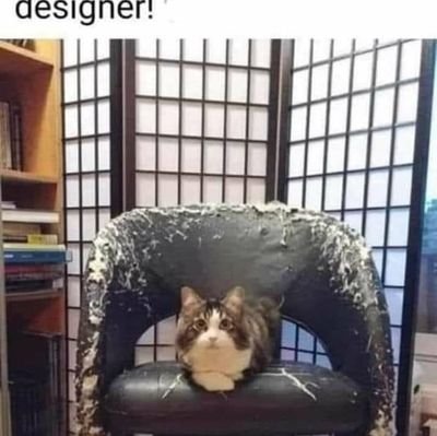 SubedarZameer's profile picture. 