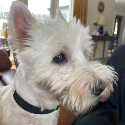 jayreusch's profile picture. 