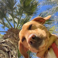 Jake (@seedsofjake) 's Twitter Profile Photo Jake (@seedsofjake) 's Twitter Profile Photo