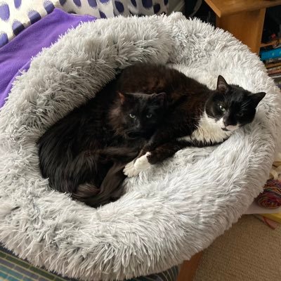 dayna_mankowski's profile picture. 