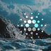 CardanoOcean (@cardanoocean) Twitter profile photo CardanoOcean (@cardanoocean) Twitter profile photo