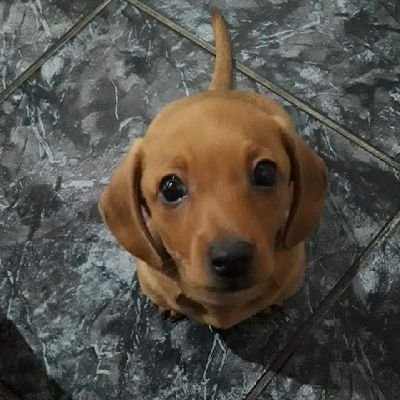 hbenevente's profile picture. 