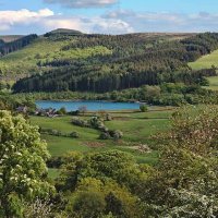 Cheshire Rocks (@cheshire_rocks) 's Twitter Profile