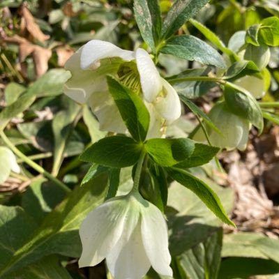 Sonne_1725's profile picture. Sonderpädagogin an einem SFZ; FöS Lernen und Sprache